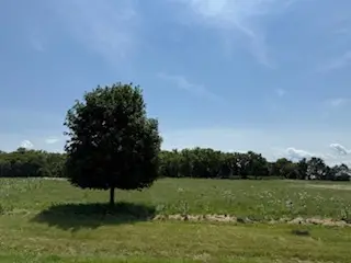 2209 Ann Lane, Woodstock, IL 60098