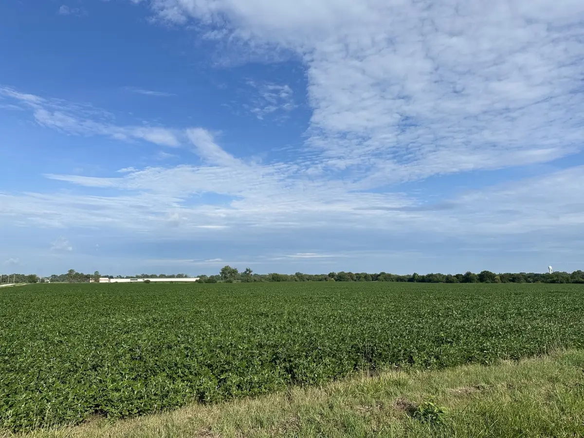 30 Acres Church And Racine Avenue, Beecher, IL 60401 - Image #1