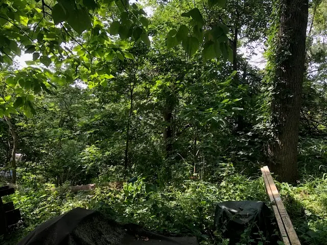 35403 N 2nd Avenue, Ingleside, IL 60041 - Image #2