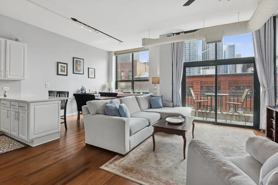 400 W Ontario Street #513, Chicago, IL 60654 - Image #3