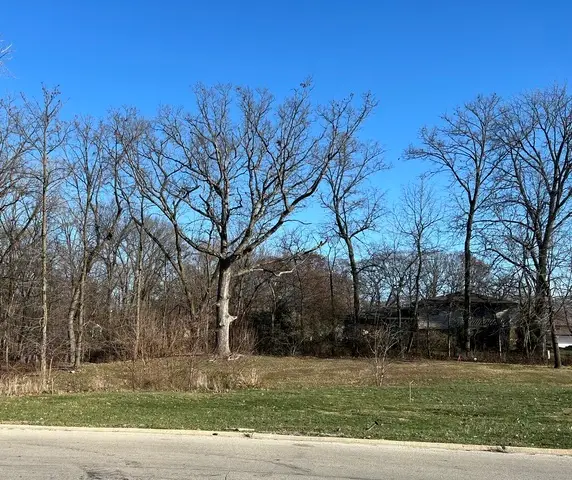 16961 Forest Glen Drive, Tinley Park, IL 60477 - Image #3