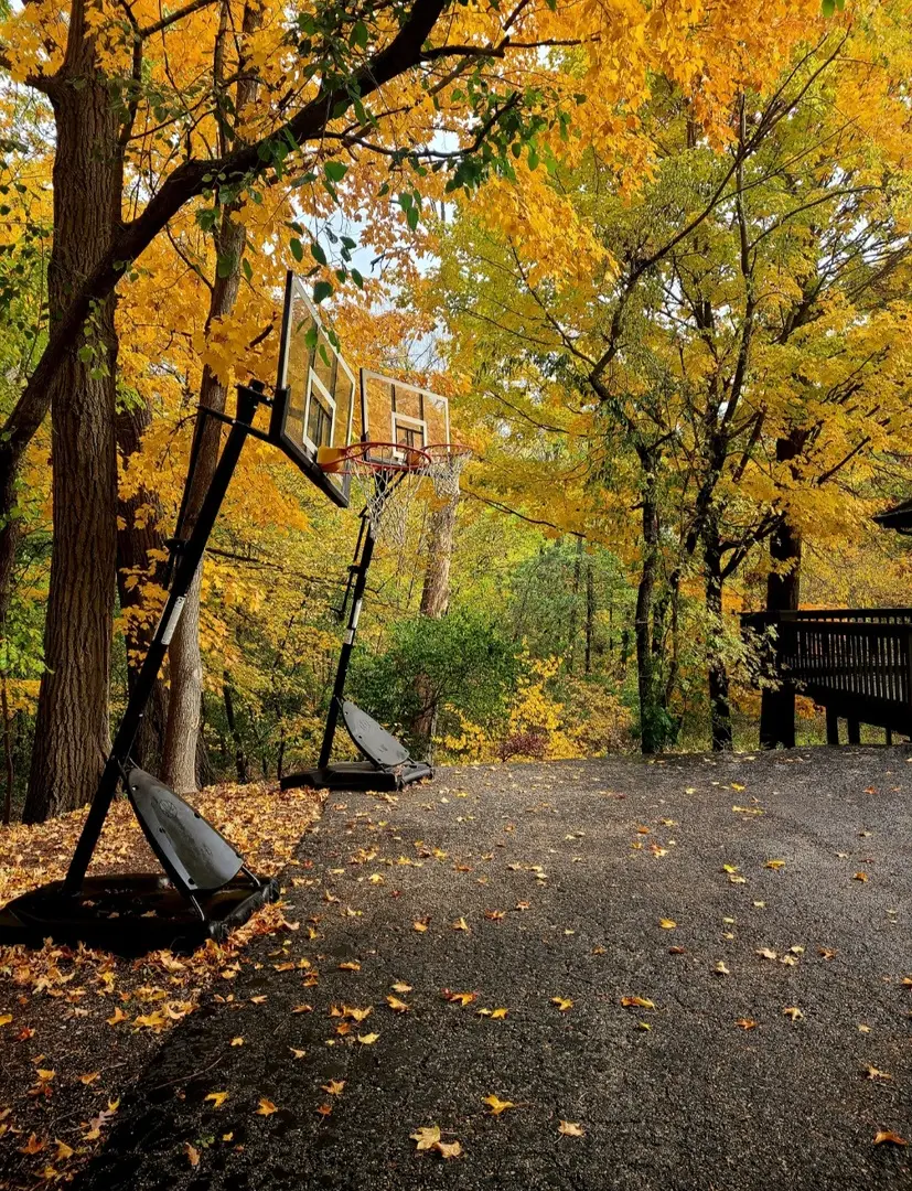 5N461 Hidden Springs Drive, Saint Charles, IL 60175 - Image #2