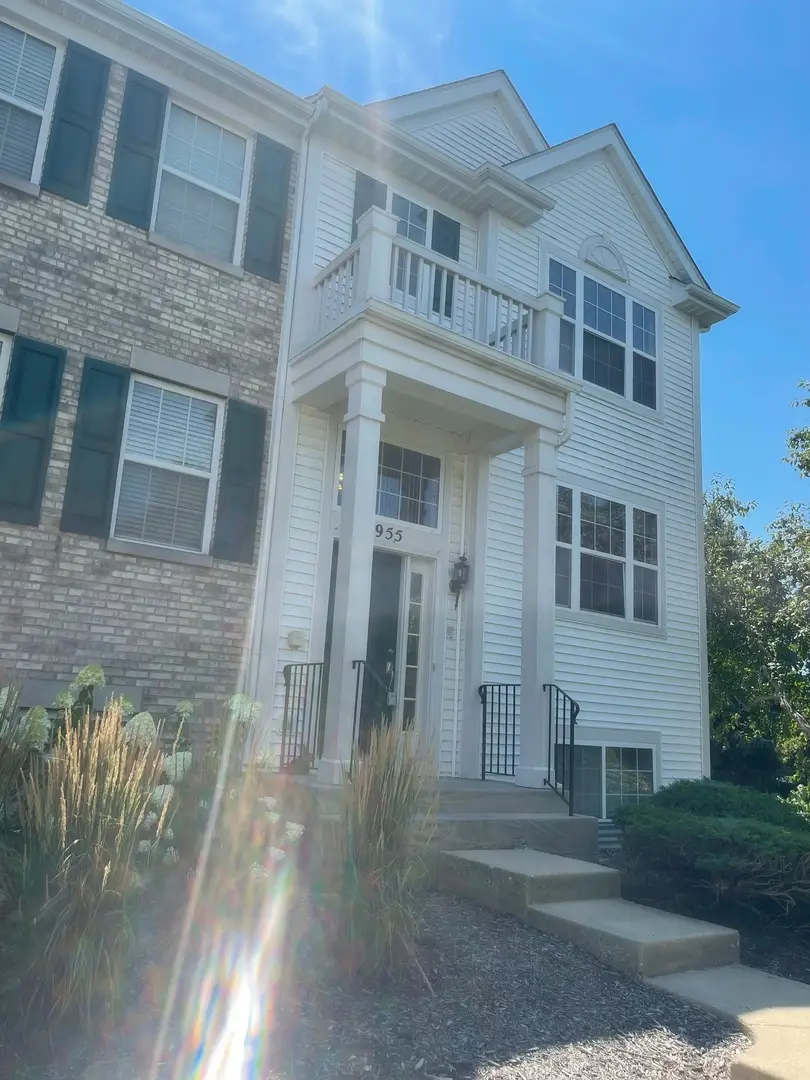 955 Emerald Drive, Pingree Grove, IL 60140 - Image #1