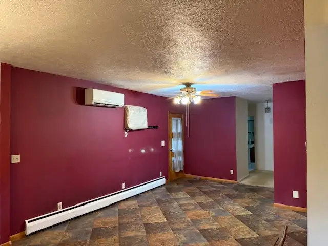 301 S 4th Street, Cissna Park, IL 60924 - Image #2