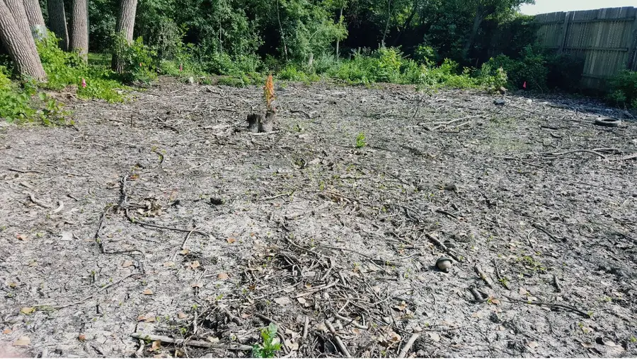 194 Washington Street, Villa Park, IL 60181 - Image #2