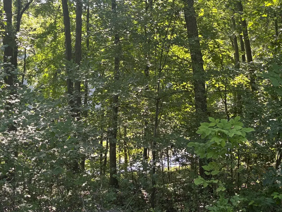 1649 Tanglewood Drive, Varna, IL 61375 - Image #3