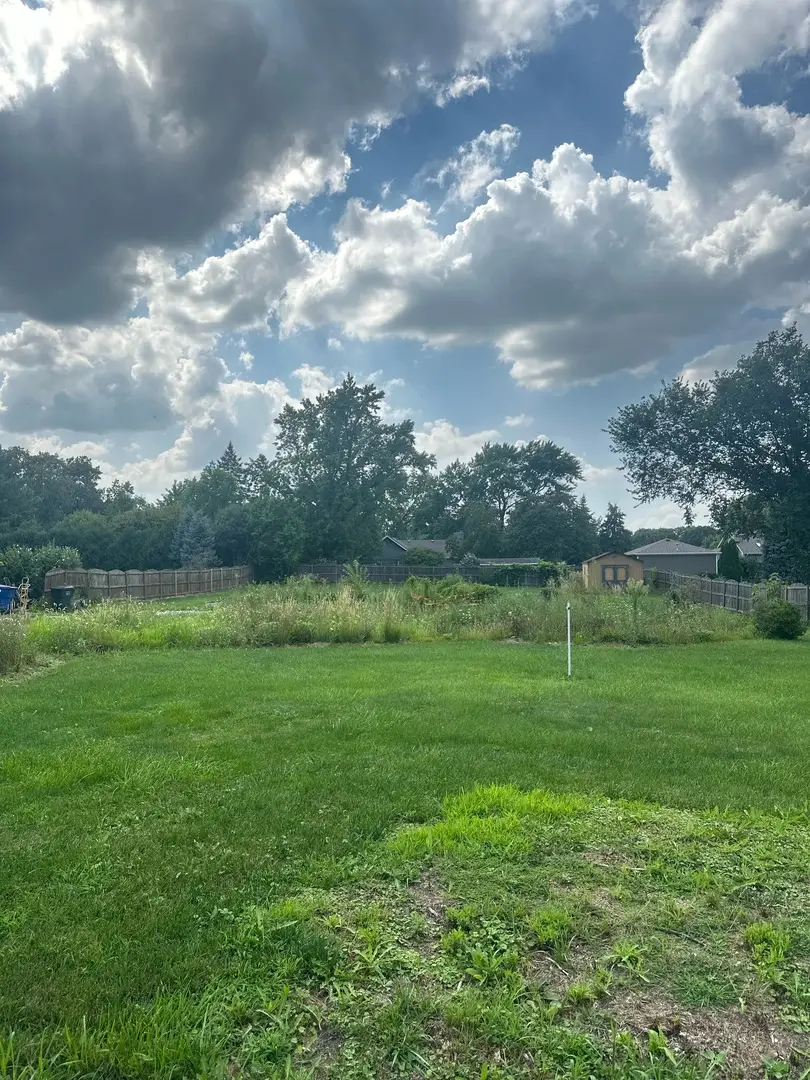 13932 S Elm Street, Homer Glen, IL 60491 - Image #2