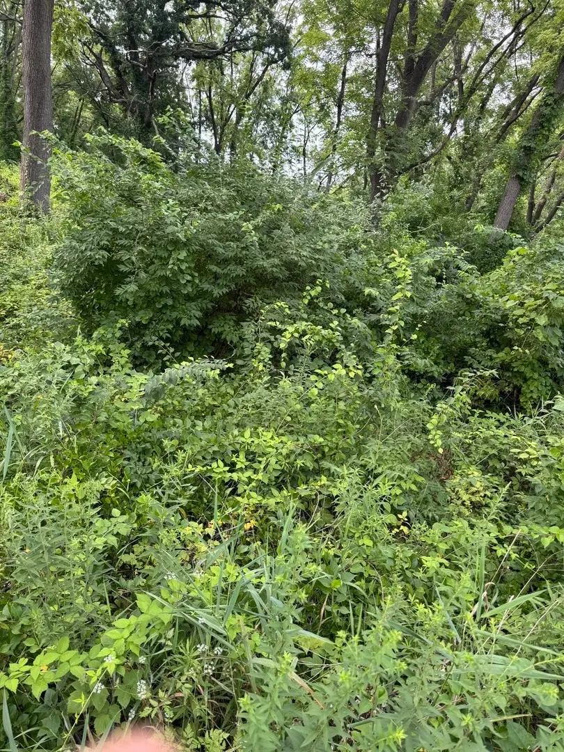 10 Chateau Drive, West Dundee, IL 60118 - Image #1