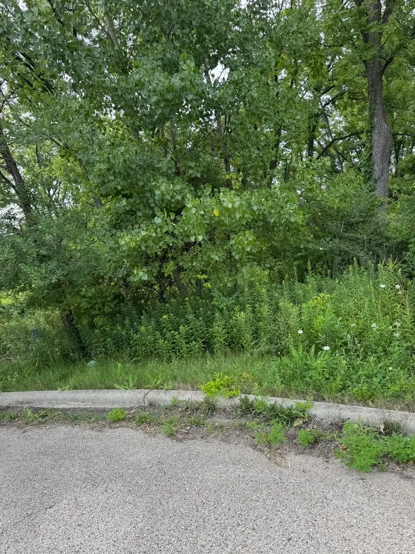 10 Chateau Drive, West Dundee, IL 60118 - Image #2