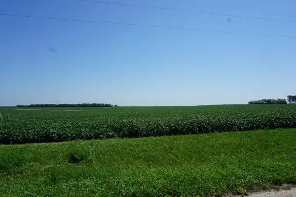 Address Withheld By Seller, Thawville, IL 60968