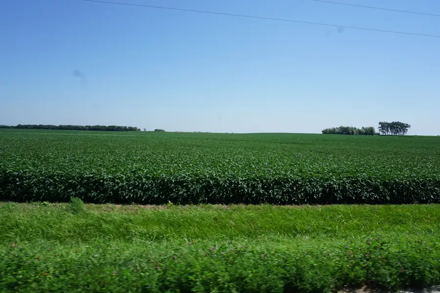 Address Withheld By Seller, Thawville, IL 60968 - Image #3