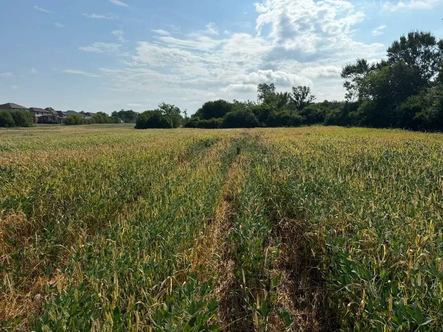 1400 (apx) W Exchange Street, Crete, IL 60417 - Image #3