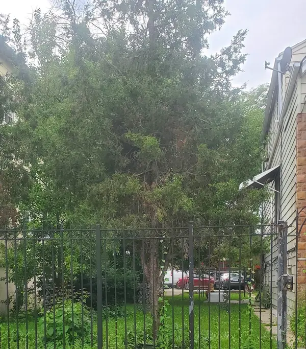 1748 N Harding Avenue, Chicago, IL 60647