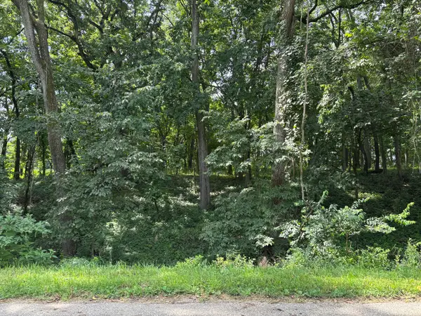 834 Lake Wildwood Drive, Varna, IL 61375