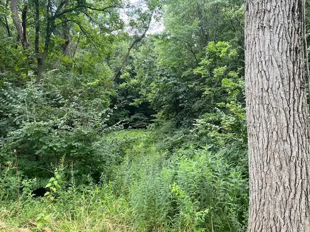 202 Lake Thunderbird Drive, Putnam, IL 61560 - Image #2