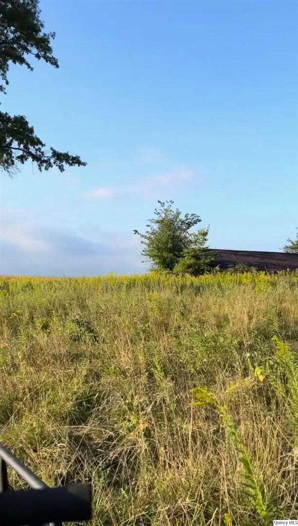 2476 N 2500, La Harpe, IL 61450 - Image #2