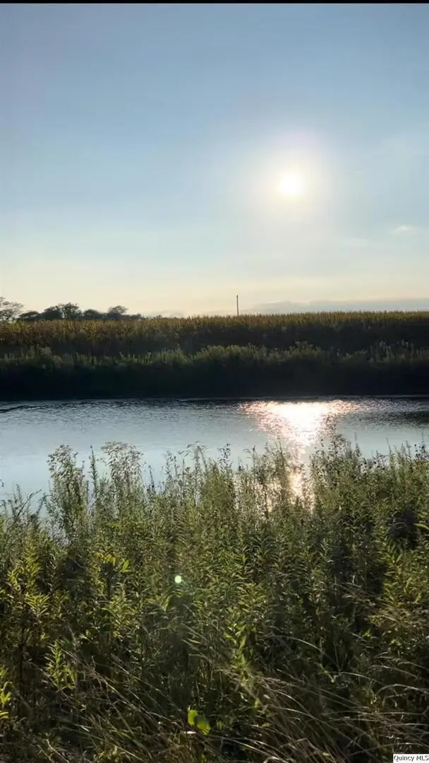 2476 N 2500, La Harpe, IL 61450 - Image #3