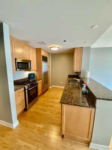 60 E Monroe Street #2205, Chicago, IL 60603 - Image #3