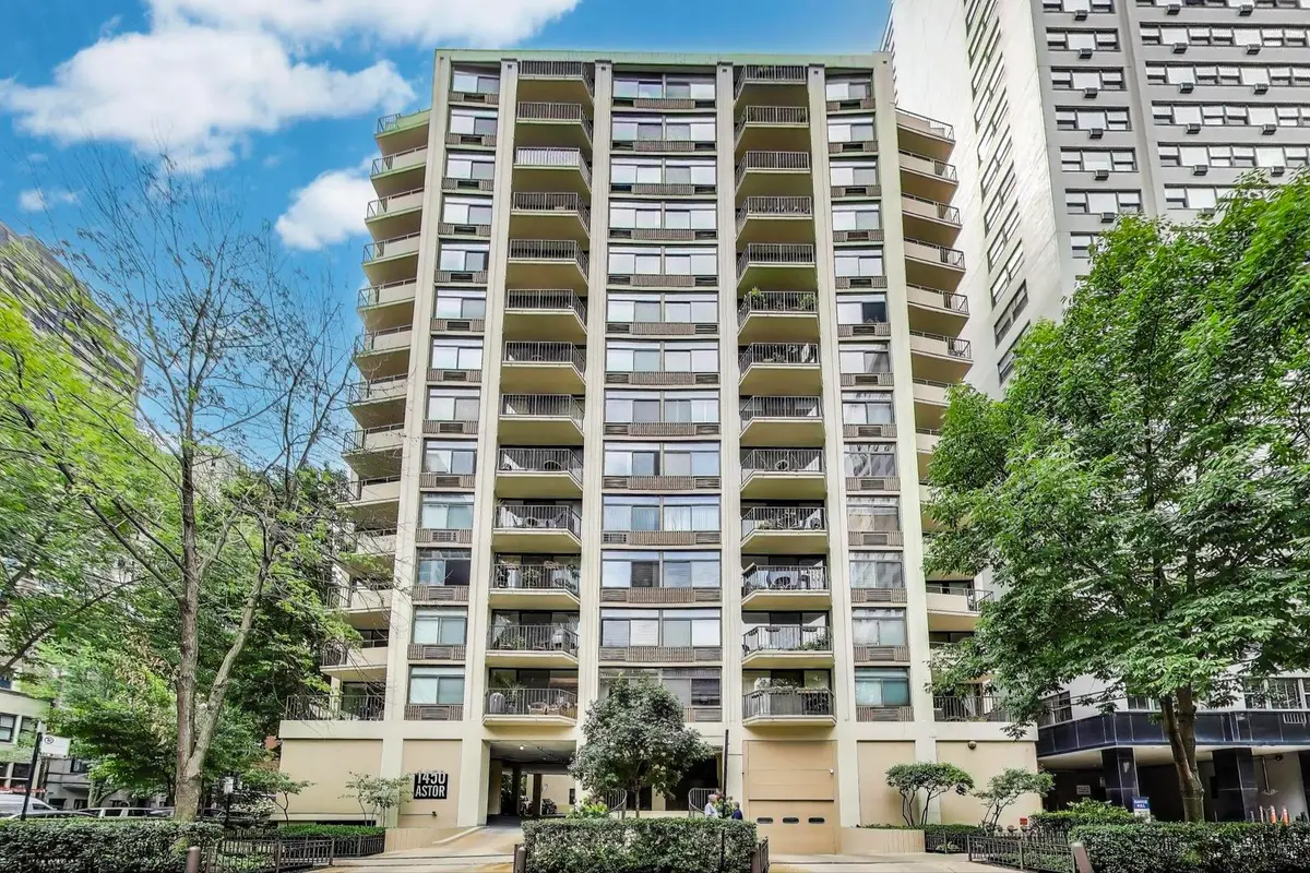 1450 N Astor Street #11D, Chicago, IL 60610 - Image #1