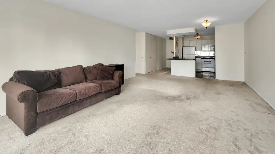 405 N Wabash Avenue #314, Chicago, IL 60611 - Image #3