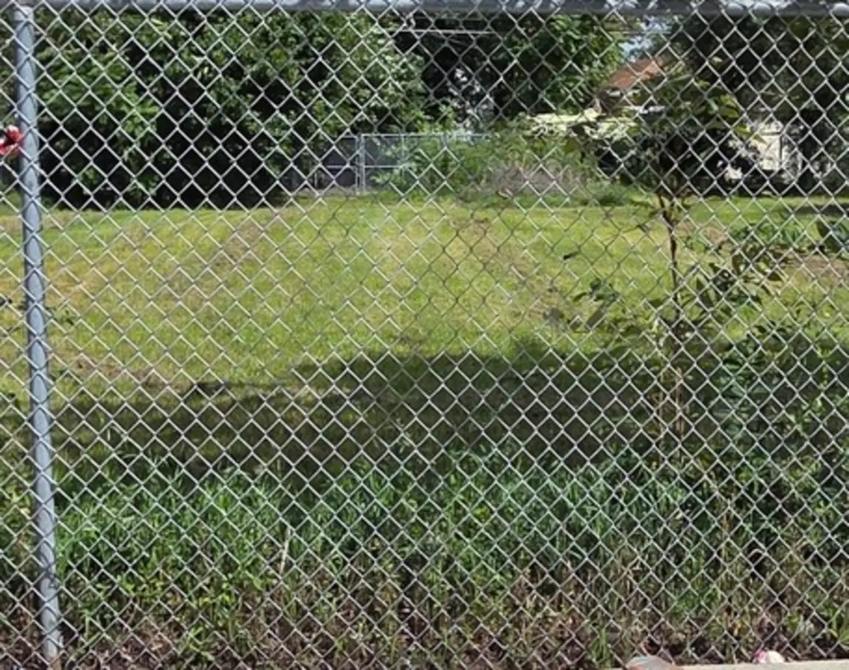 12321 S Halsted Street, Chicago, IL 60628 - Image #1