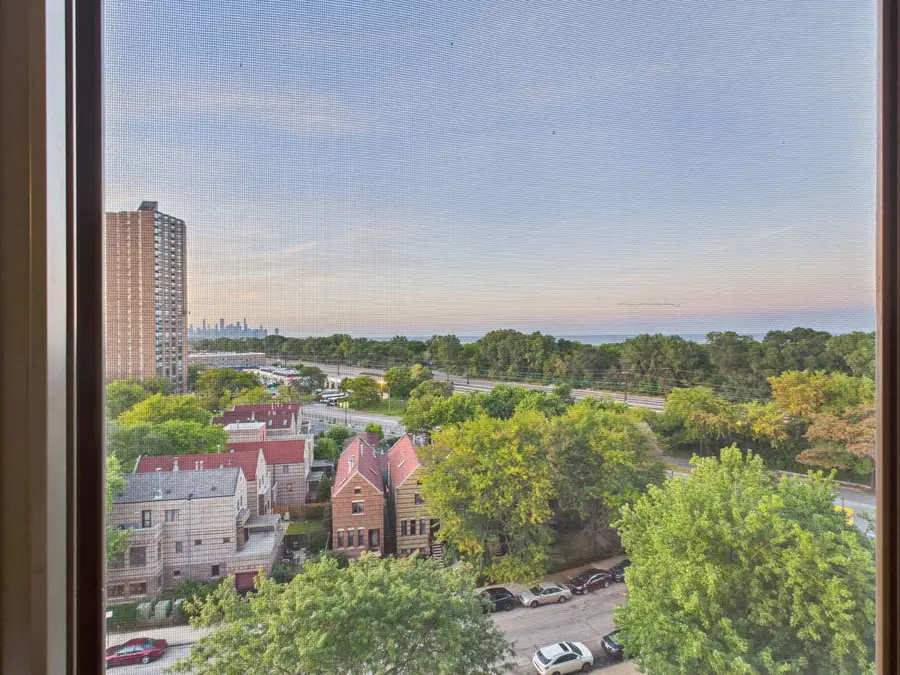 4800 S Lake Park Avenue #909A, Chicago, IL 60615 - Image #3