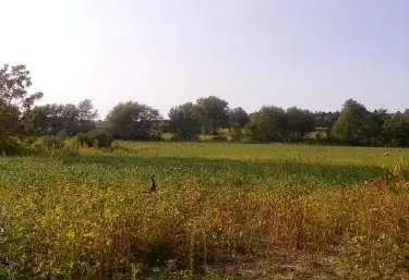 Lot 8 S 80th Avenue, Monee, IL 60449 - Image #1