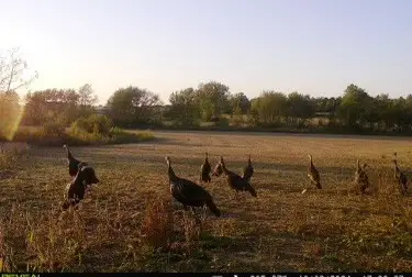 Lot 8 S 80th Avenue, Monee, IL 60449 - Image #2