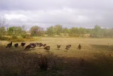 Lot 8 S 80th Avenue, Monee, IL 60449 - Image #3