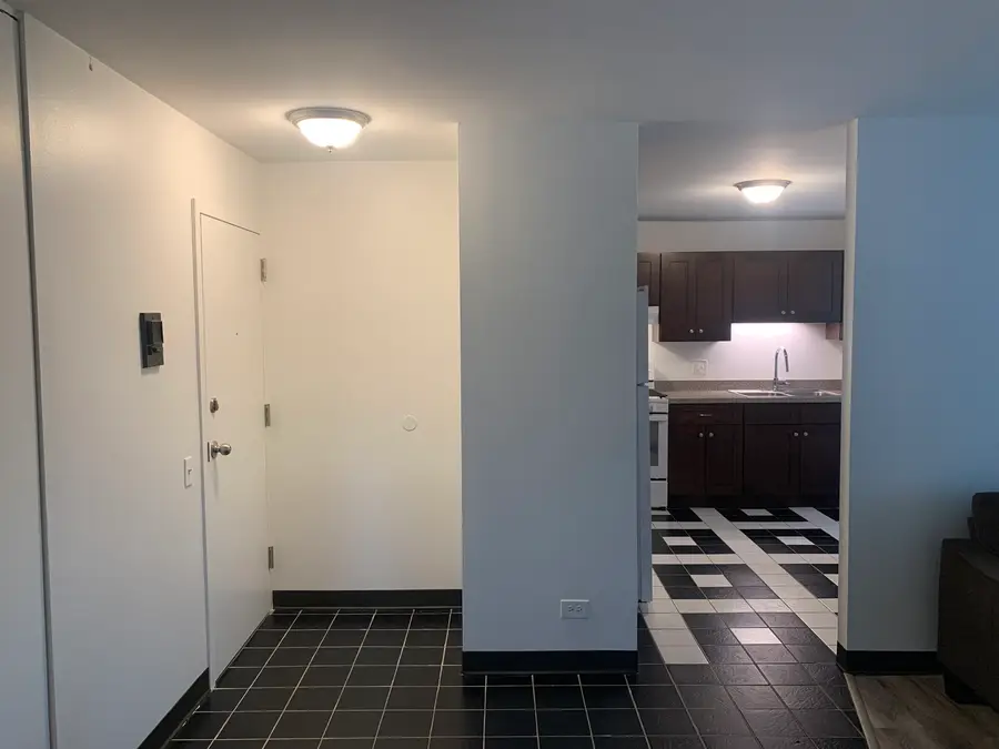 4850 S Lake Park Avenue #412, Chicago, IL 60615 - Image #3