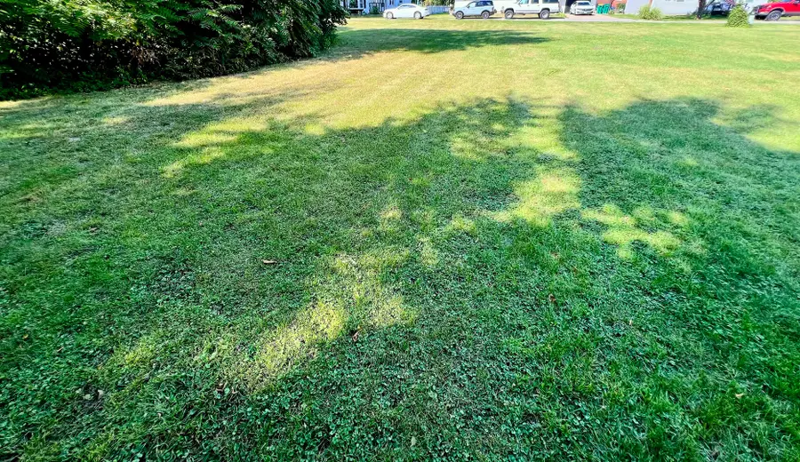 1385 Washington Street, Marseilles, IL 61341 - Image #2