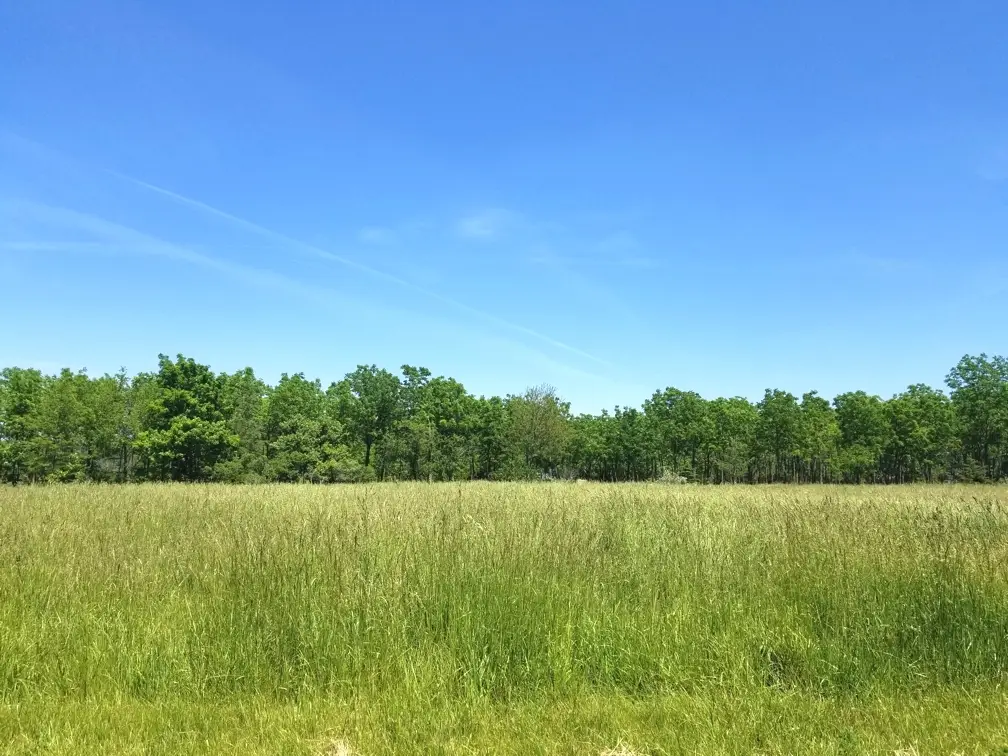 Lot 78 Lake Wildwood Drive, Varna, IL 61375 - Image #1