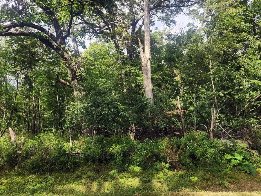 Lot 679 Rollingwood Place, Varna, IL 61375 - Image #2