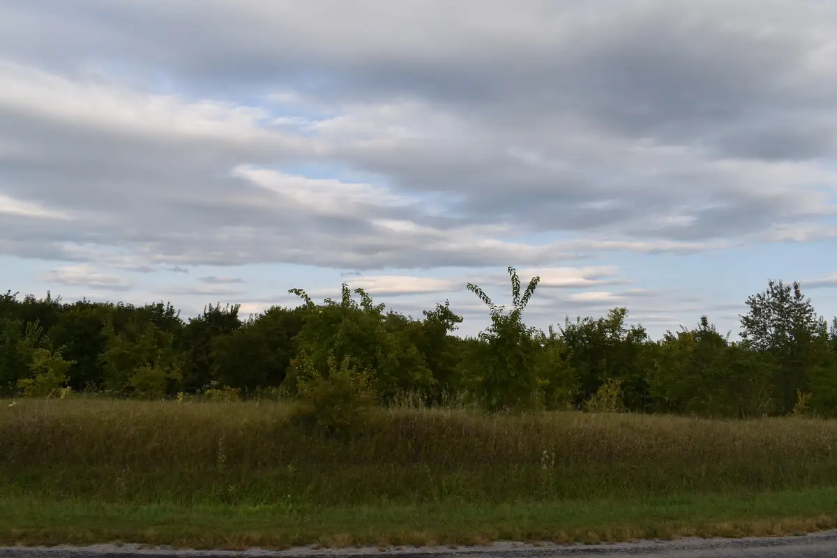 20880 N 800 East Road, Graymont, IL 61743 - Image #1