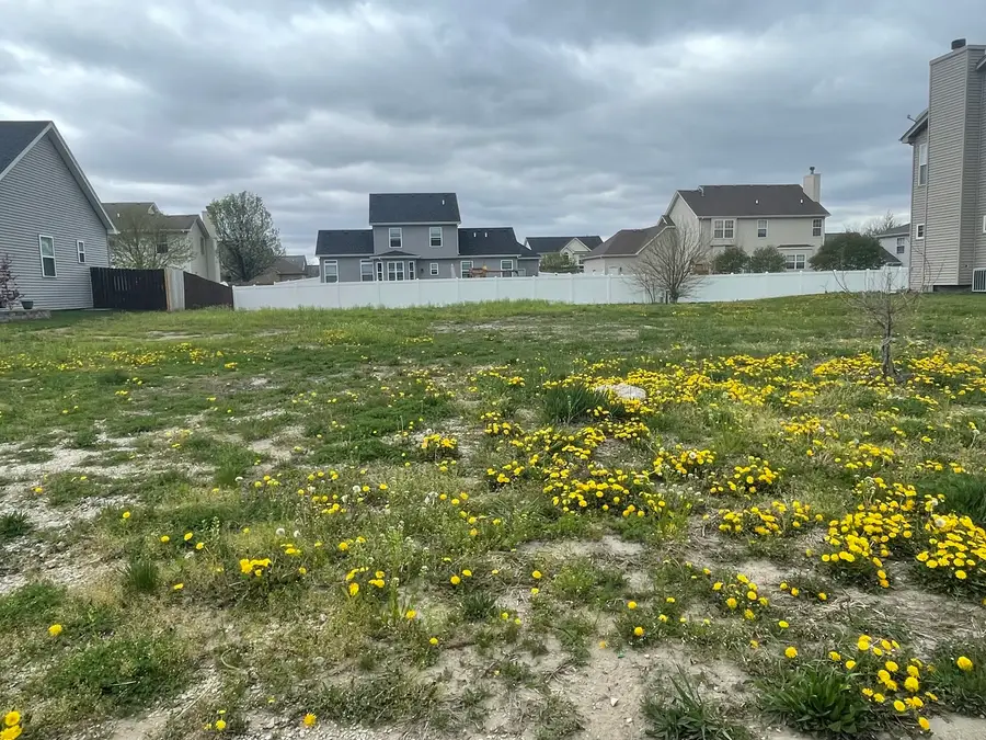 1170 Farmstone Drive, Diamond, IL 60416 - Image #2