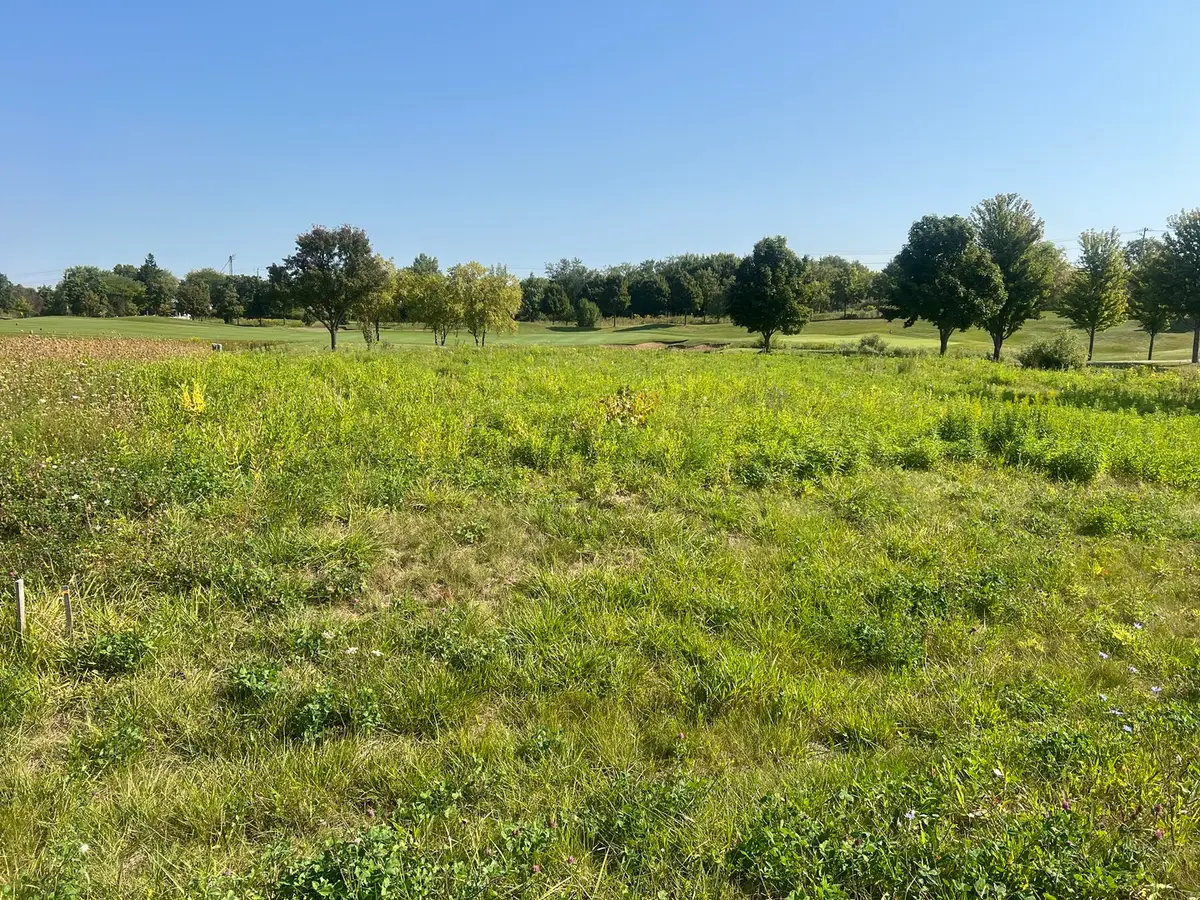 10006 Saint Andrews Drive, Marengo, IL 60152 - Image #1