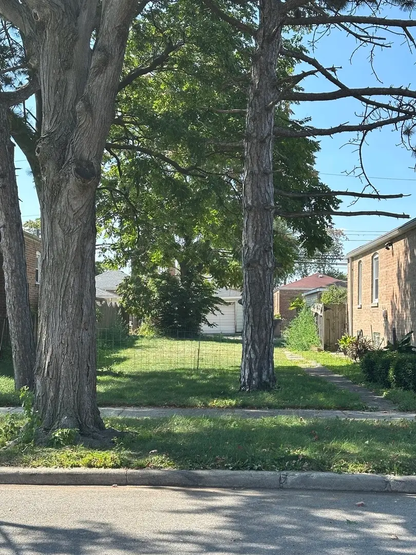 8724 S Euclid Avenue, Chicago, IL 60617 - Image #2