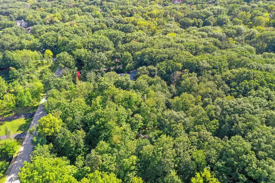 832 Ironwood Lot 3 Drive, Frankfort, IL 60423 - Image #2