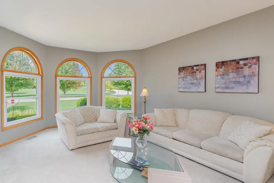 13741 W Elizabeth Lane, Mokena, IL 60448 - Image #3