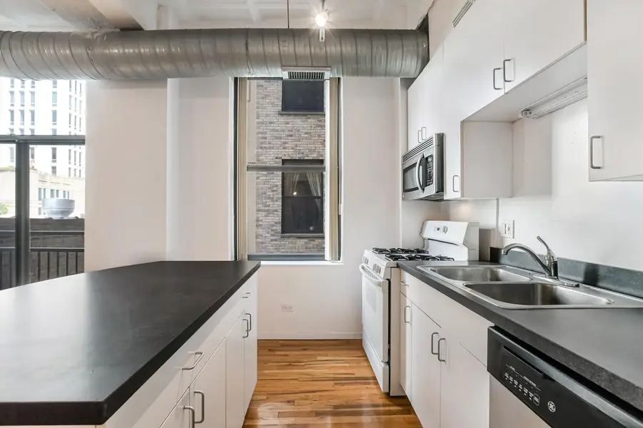 1307 S Wabash Street #308, Chicago, IL 60605 - Image #3