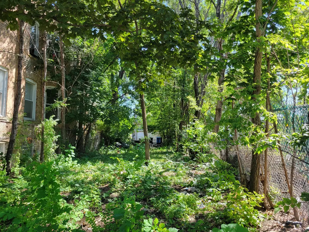 1549 S Trumbull Avenue, Chicago, IL 60623 - Image #1