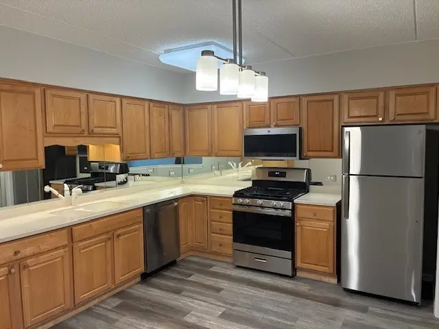 5 W Central Avenue #201, Mount Prospect, IL 60056 - Image #3