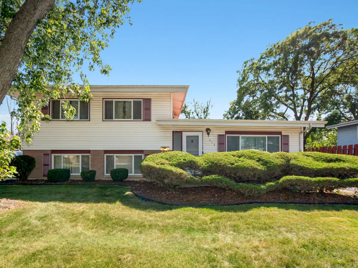 213 Early Street, Park Forest, IL 60466 - #1