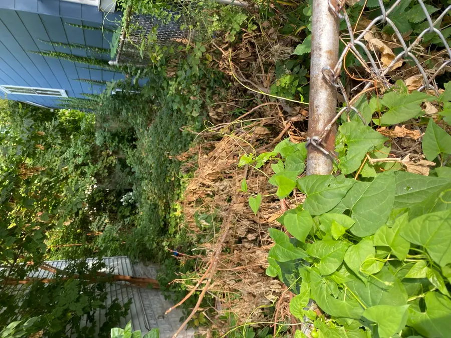 7537 S Saint Lawrence Avenue, Chicago, IL 60619 - Image #2