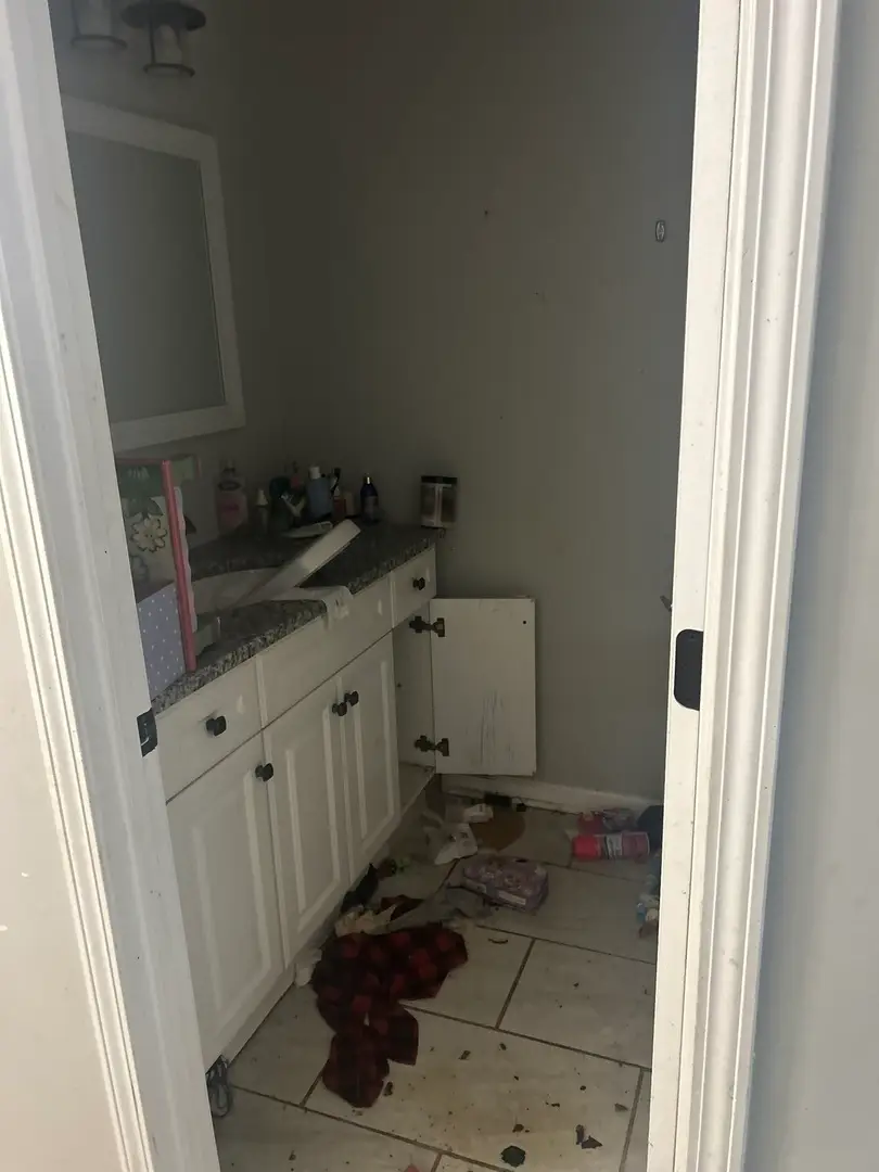 308 S Dorchester Avenue, Glenwood, IL 60425 - Image #3