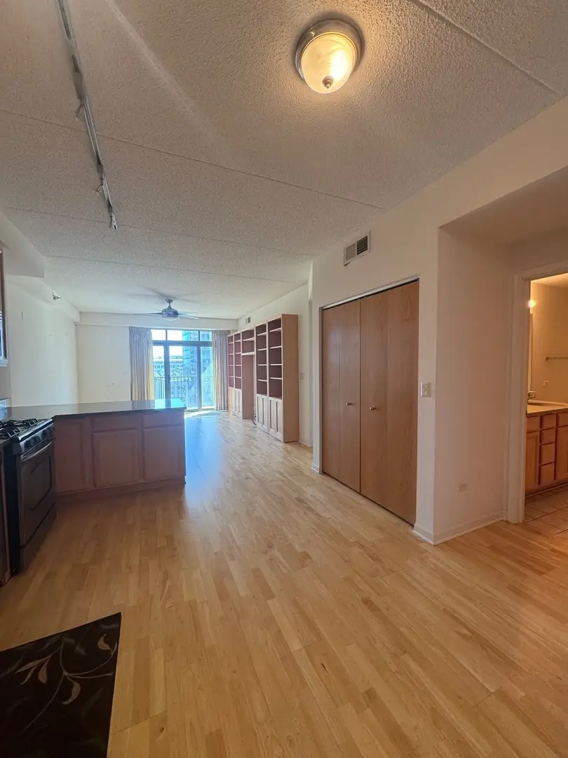 1250 S Indiana Avenue #702, Chicago, IL 60605 - Image #3