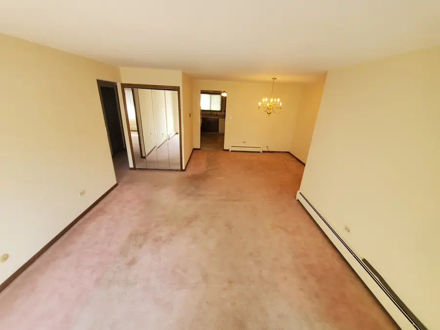 5159 N East River Road #307D, Chicago, IL 60656 - Image #3