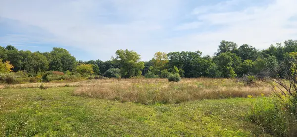 42751 N Sheridan Oaks Drive, Antioch, IL 60002