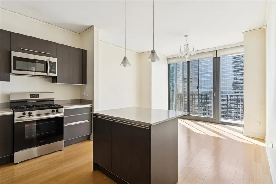 225 N Columbus Drive #5513, Chicago, IL 60601 - Image #3