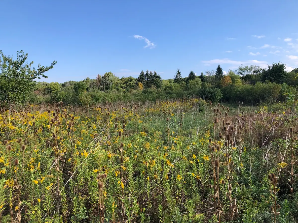 8 Alexandra Drive, Mettawa, IL 60048 - Image #1